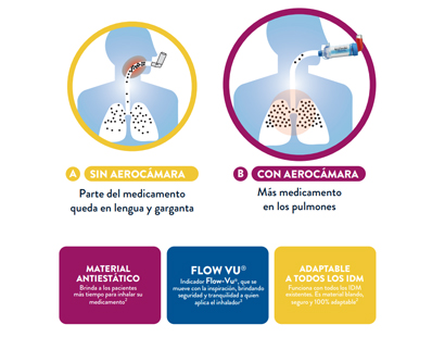 Imagen descriptiva