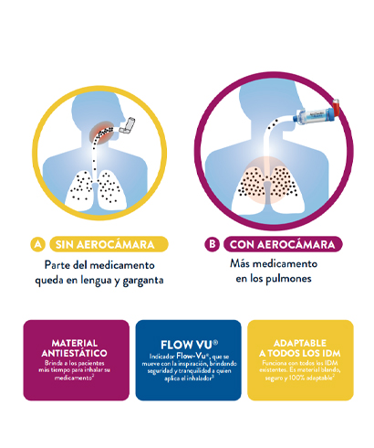Imagen descriptiva