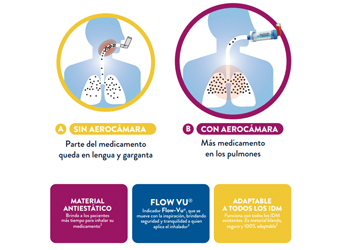 Imagen descriptiva